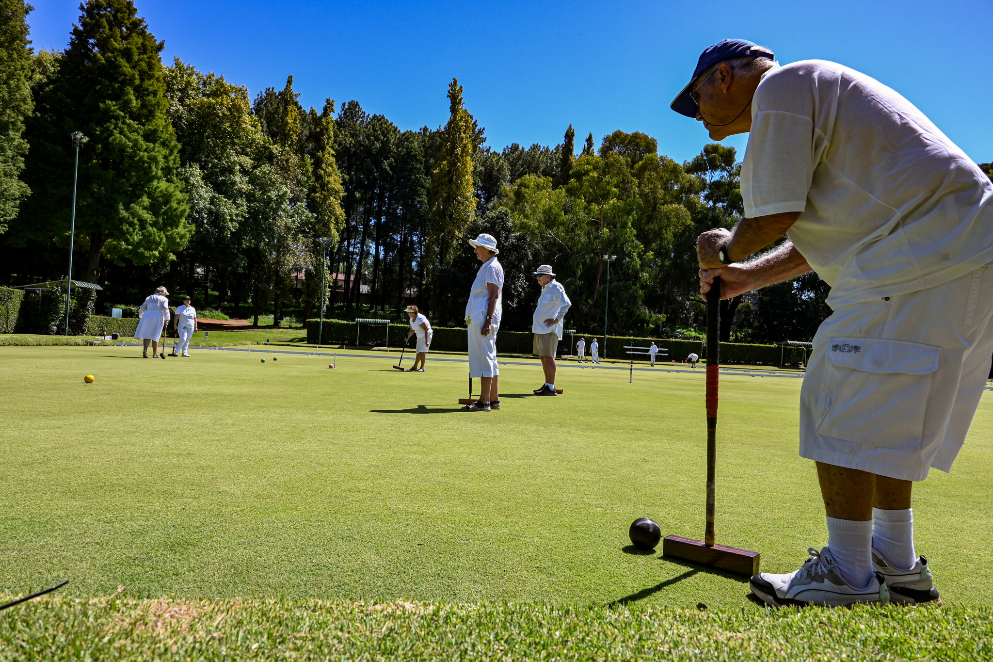 Croquet