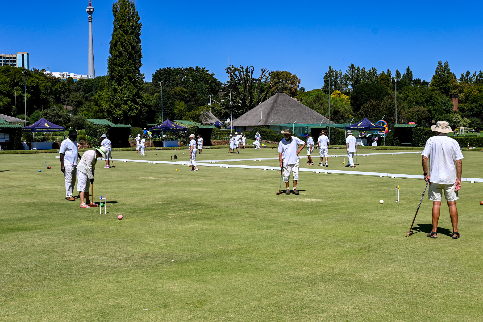 Croquet